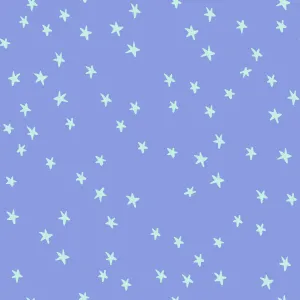 1/2 Yard - Starry Dusk - RS4109 57 - Ruby Star Society - Alexia Abegg - Quilting Cotton - Starry Starry