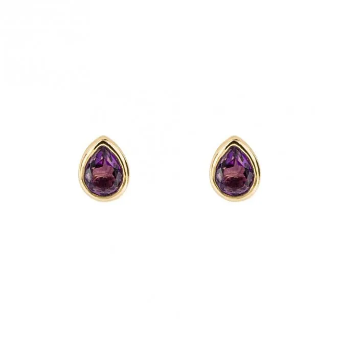 Gold Plated Birthstone February Amethyst Earrings E6203