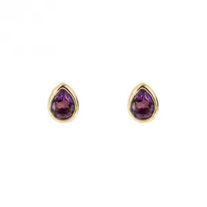 Gold Plated Birthstone February Amethyst Earrings E6203