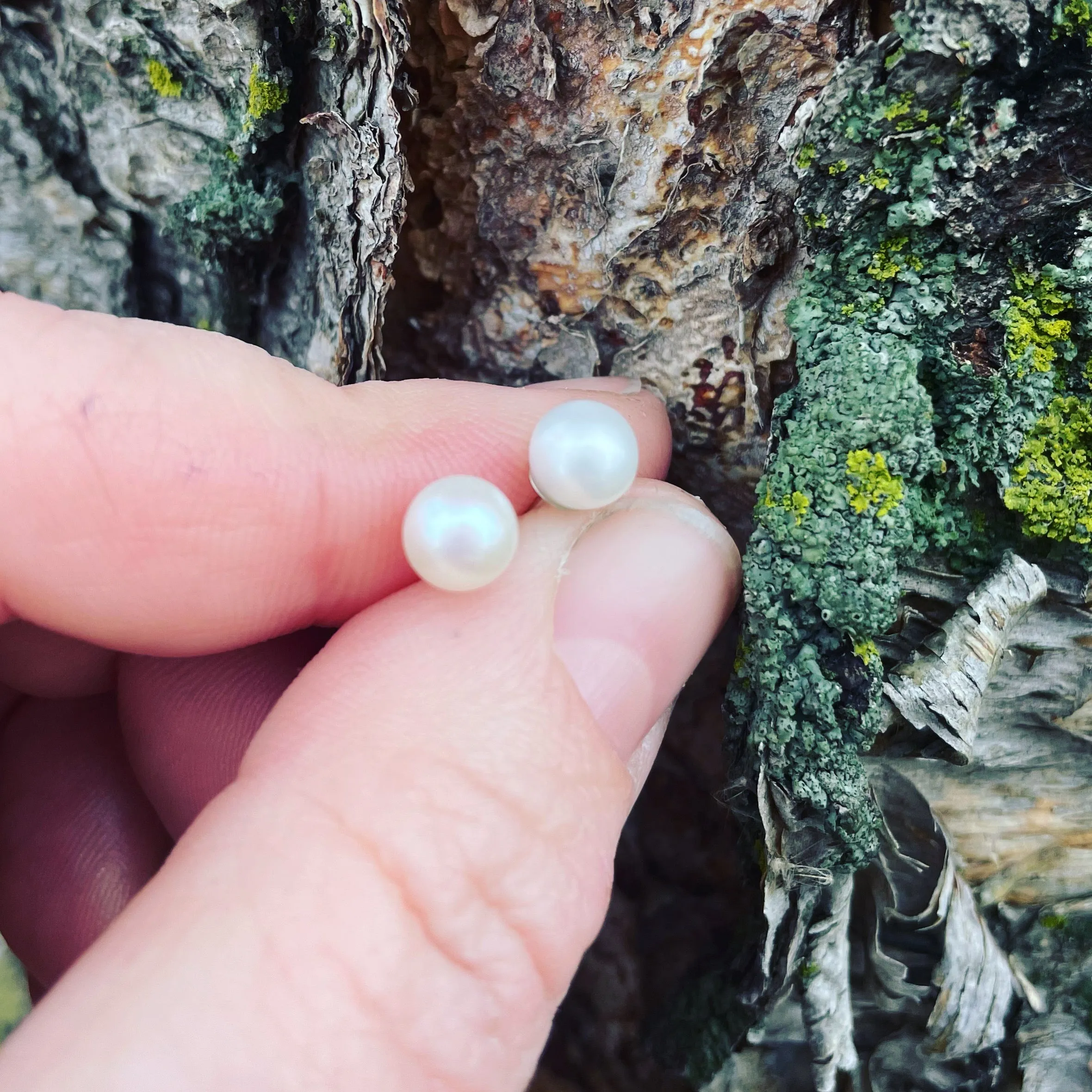 Pearl and Sterling Silver Post Earrings