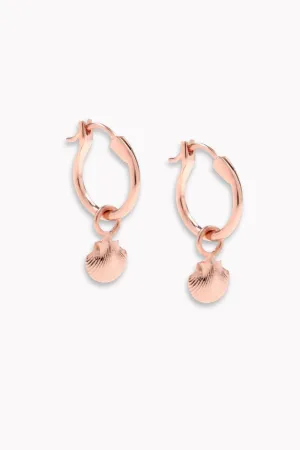 Petite Shell Earrings - Rose Gold