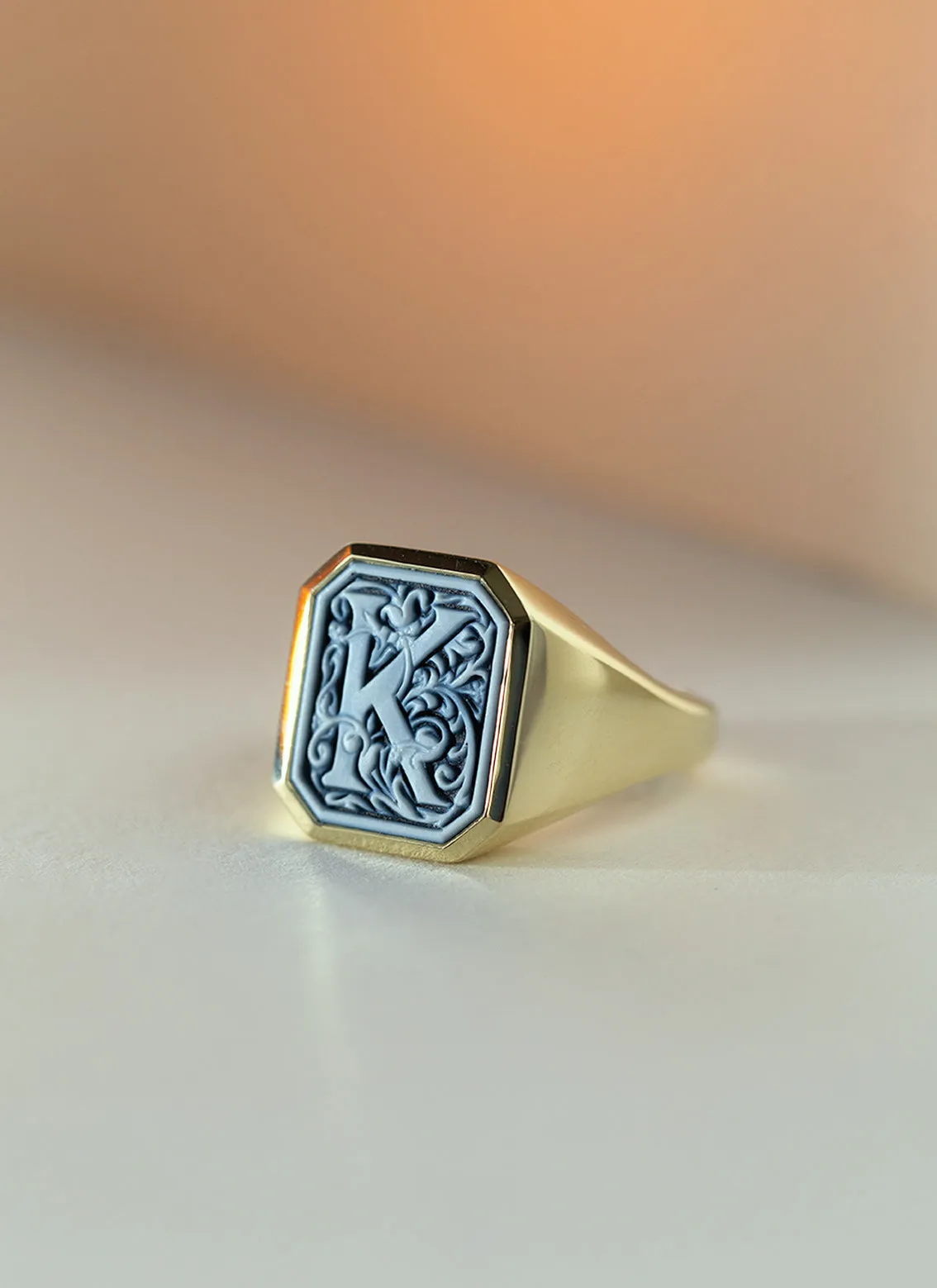 The gent vinny signet ring 14k gold