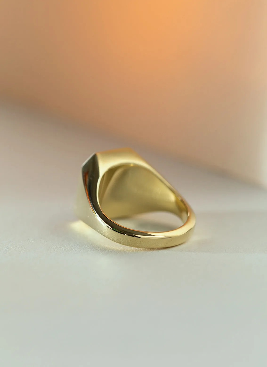 The gent vinny signet ring 14k gold