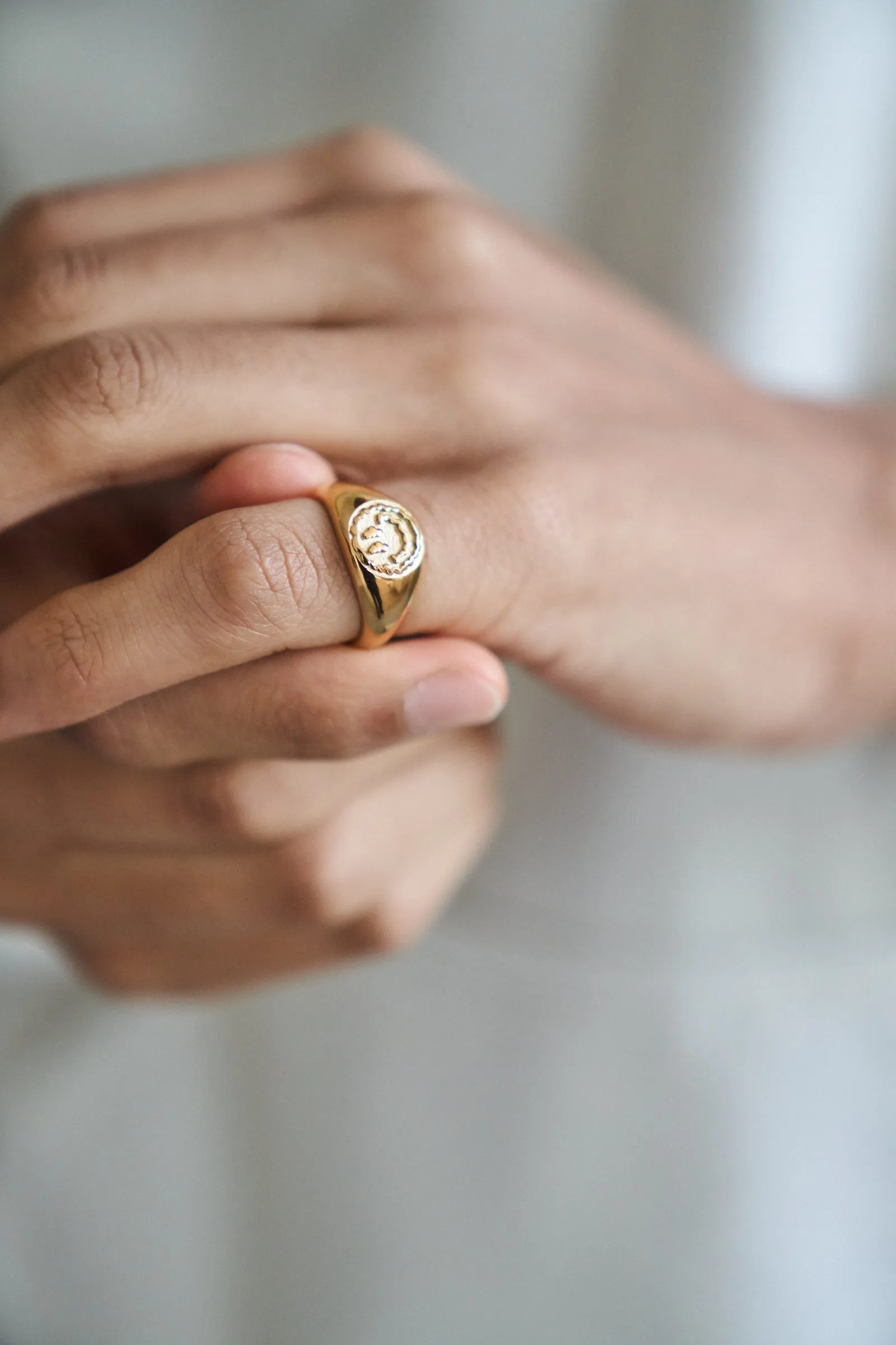 Trippy Signet Ring - Gold